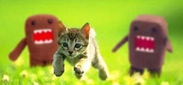 Pasted image 20251102114902.jpg|350