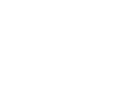 github-mark-white.png|30